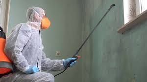 Professional Mold Remediation in Vero Beach, FL